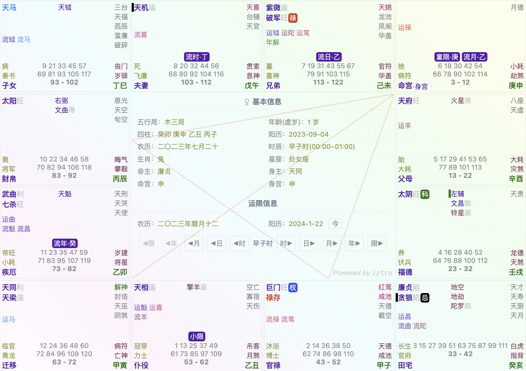 紫微斗数星盘
